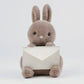 ELAINREN Furry Gray Rabbit Plush Toy Cute Stuffed Bunny with Envelope Decor/9.8inch