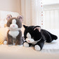 ELAINREN Cartoon Black Cat Stuffed Gray Kitten Toy GIfts