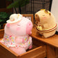 ELAINREN Cute Dress Up Capybara Plush Toy Kawaii Capybara Stuffed Animals Wearing Pink Skirt /9.8‘’