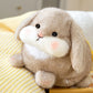 ELAINREN Chubby Brown Bunny Stuff Big Pillow Soft Rabbit Plush Toy/14''
